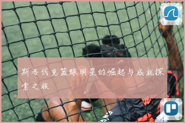 斯洛伐克篮球明星的崛起与成就探索之旅