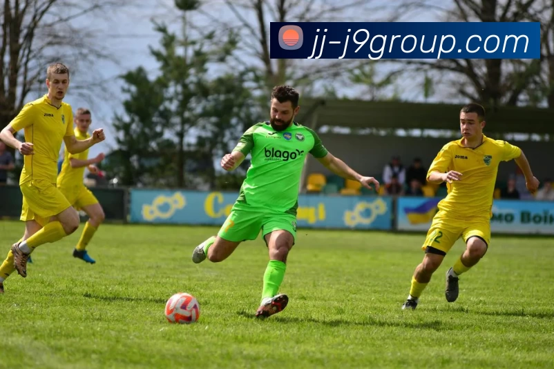 J9集团平台平台生态图